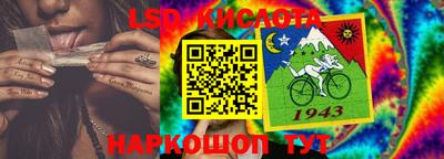 прущие грибы Новокубанск
