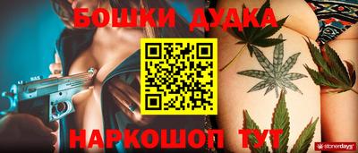 прущие грибы Новокубанск