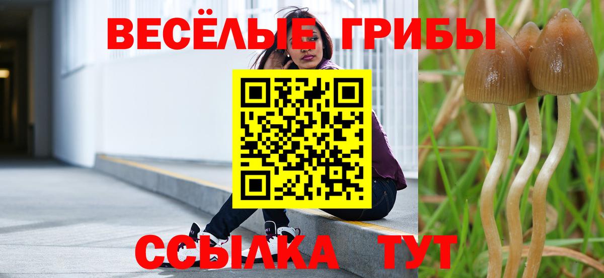 Галлюциногенные грибы Magic Shrooms Чебаркуль